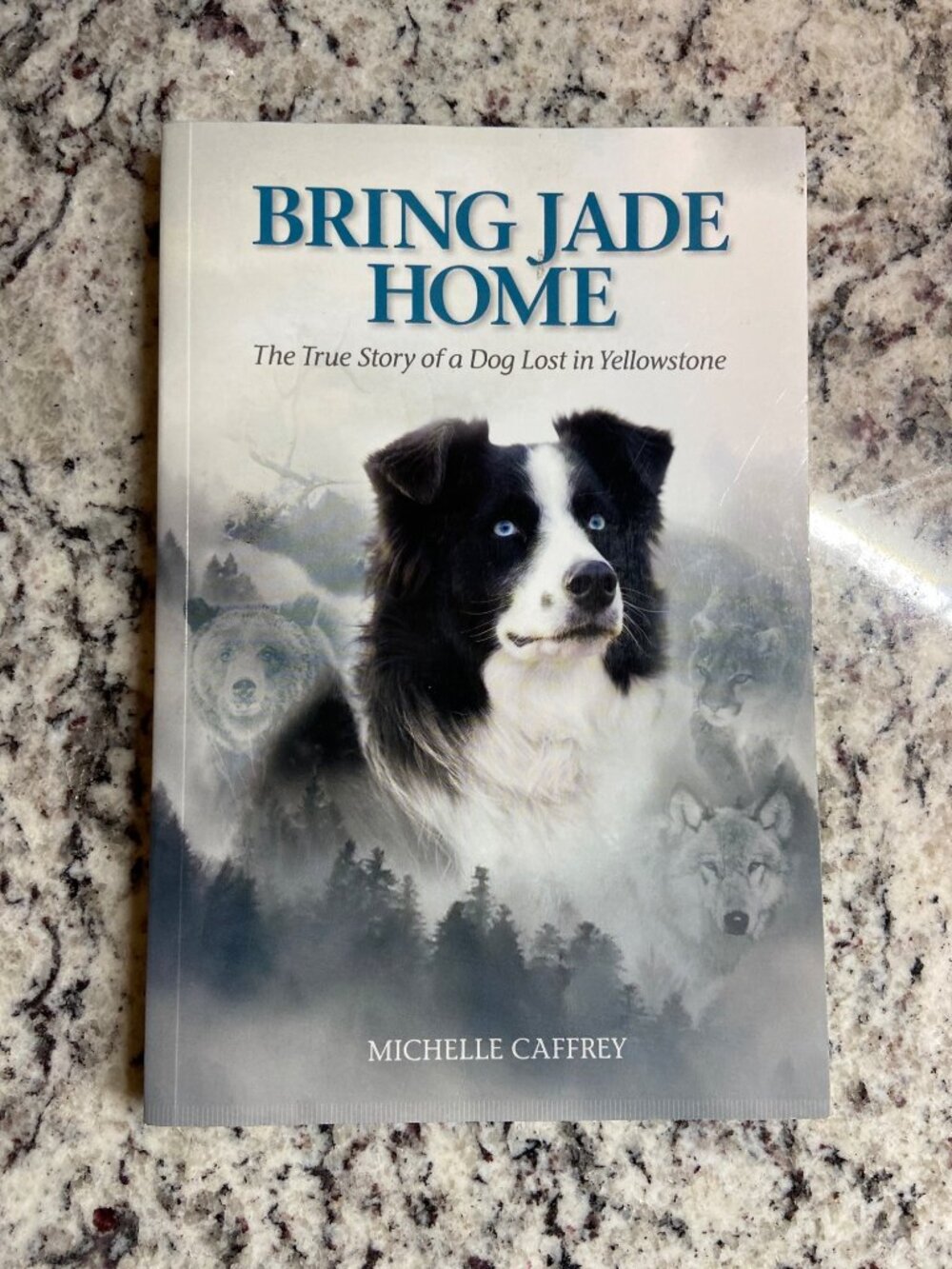 Bring Jade Home The True Story Of A Dog Lost In Yellowstone Michelle Caffrey